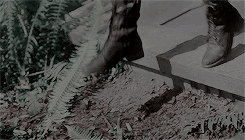 http://upforme.ru/uploads/0019/b1/c1/8/355032.gif