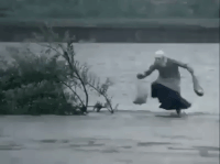 http://upforme.ru/uploads/0019/b7/31/2/t790282.gif