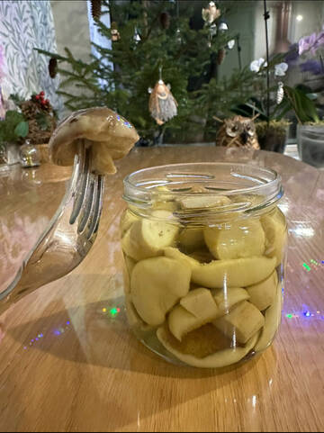 http://upforme.ru/uploads/0019/b7/31/284/t696698.jpg