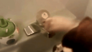 http://upforme.ru/uploads/0019/b7/31/626/t25177.gif