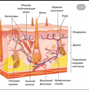 http://upforme.ru/uploads/0019/b7/31/626/t831278.jpg