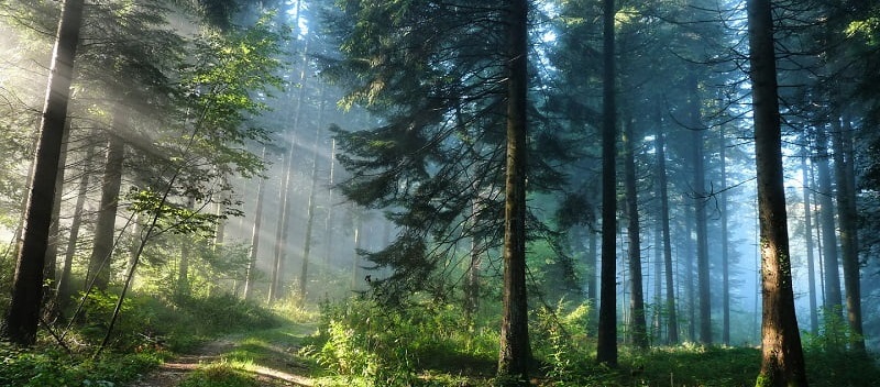 http://upforme.ru/uploads/0019/be/36/2/134867.jpg