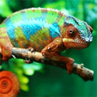 http://upforme.ru/uploads/0019/be/36/3/44961.gif