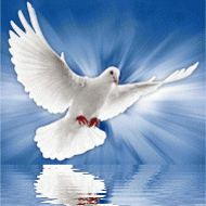 http://upforme.ru/uploads/0019/be/36/3/475222.gif