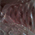 http://upforme.ru/uploads/0019/c5/aa/894/547862.jpg