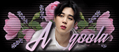 http://upforme.ru/uploads/0019/c6/89/104/t959033.gif