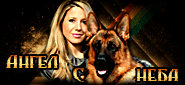 http://upforme.ru/uploads/0019/c6/89/123/t116830.gif