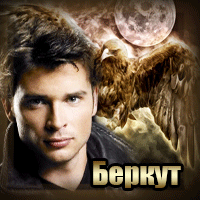http://upforme.ru/uploads/0019/c6/89/123/t659447.gif