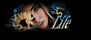 http://upforme.ru/uploads/0019/c6/89/140/t504415.gif