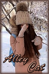 http://upforme.ru/uploads/0019/c6/89/2/t158002.gif