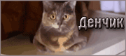 http://upforme.ru/uploads/0019/c6/89/2/t20253.gif