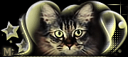 http://upforme.ru/uploads/0019/c6/89/2/t23194.gif