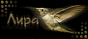 http://upforme.ru/uploads/0019/c6/89/2/t375612.gif