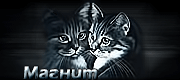 http://upforme.ru/uploads/0019/c6/89/2/t450564.gif
