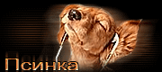 http://upforme.ru/uploads/0019/c6/89/2/t520489.gif
