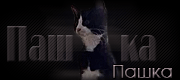 http://upforme.ru/uploads/0019/c6/89/2/t587297.gif