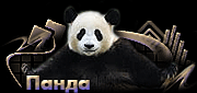 http://upforme.ru/uploads/0019/c6/89/2/t66746.gif