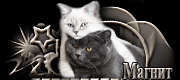 http://upforme.ru/uploads/0019/c6/89/2/t71453.gif