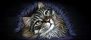 http://upforme.ru/uploads/0019/c6/89/2/t760398.gif