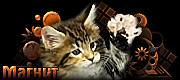 http://upforme.ru/uploads/0019/c6/89/2/t85626.gif