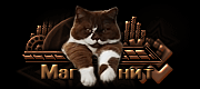 http://upforme.ru/uploads/0019/c6/89/2/t927645.gif
