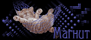 http://upforme.ru/uploads/0019/c6/89/2/t97008.gif