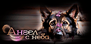 http://upforme.ru/uploads/0019/c6/89/211/t36215.gif