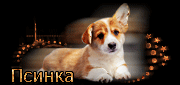 http://upforme.ru/uploads/0019/c6/89/244/t578886.gif