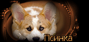 http://upforme.ru/uploads/0019/c6/89/244/t818628.gif