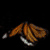 http://upforme.ru/uploads/0019/c6/89/268/t115925.gif