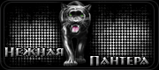 http://upforme.ru/uploads/0019/c6/89/30/t511458.gif