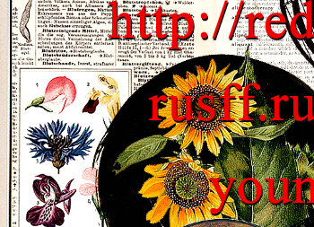 http://upforme.ru/uploads/0019/c9/9d/2/291412.png