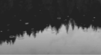 http://upforme.ru/uploads/0019/ca/cf/239/460344.gif