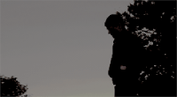 http://upforme.ru/uploads/0019/ca/cf/239/589793.gif