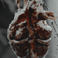 http://upforme.ru/uploads/0019/cc/52/342/26998.gif