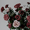 http://upforme.ru/uploads/0019/cf/8e/3/272101.png
