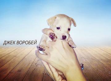 http://upforme.ru/uploads/0019/d1/b5/2/t108961.jpg