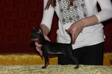 http://upforme.ru/uploads/0019/d1/b5/2/t187973.jpg
