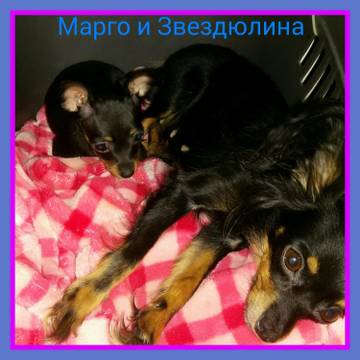 http://upforme.ru/uploads/0019/d1/b5/2/t218855.jpg