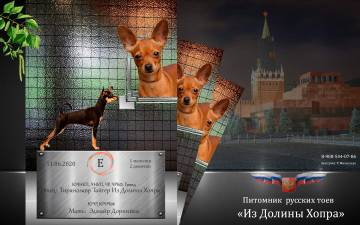 http://upforme.ru/uploads/0019/d1/b5/2/t242349.jpg