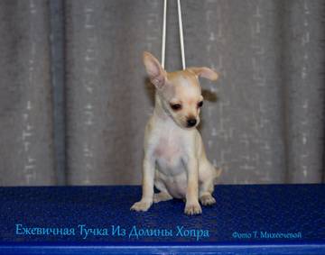 http://upforme.ru/uploads/0019/d1/b5/2/t305235.jpg