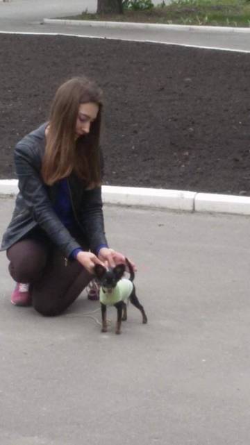 http://upforme.ru/uploads/0019/d1/b5/2/t326008.jpg