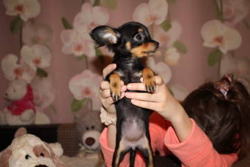 http://upforme.ru/uploads/0019/d1/b5/2/t368236.jpg