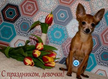 http://upforme.ru/uploads/0019/d1/b5/2/t451094.jpg