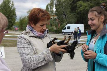 http://upforme.ru/uploads/0019/d1/b5/2/t510895.jpg