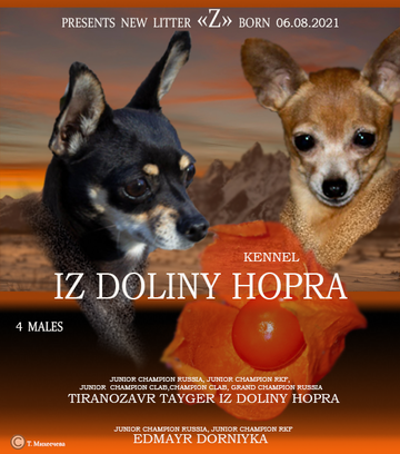 http://upforme.ru/uploads/0019/d1/b5/2/t528426.png
