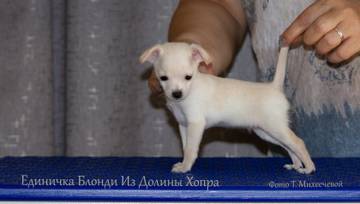 http://upforme.ru/uploads/0019/d1/b5/2/t588574.jpg