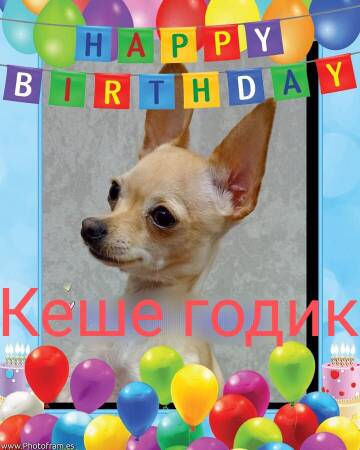 http://upforme.ru/uploads/0019/d1/b5/2/t646657.jpg