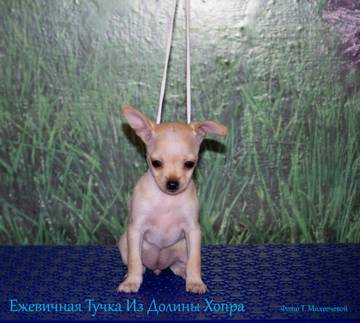 http://upforme.ru/uploads/0019/d1/b5/2/t742882.jpg