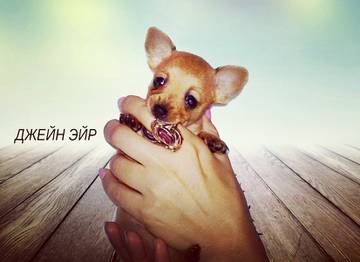 http://upforme.ru/uploads/0019/d1/b5/2/t743948.jpg